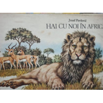 Hai cu noi in Africa