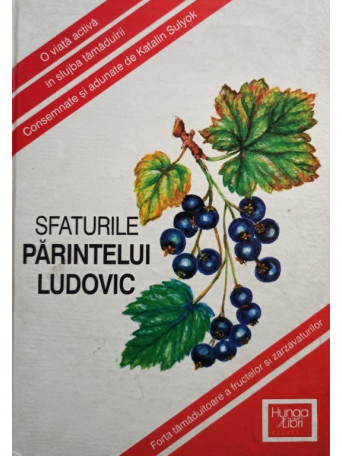 Sfaturile Parintelui Ludovic