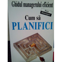 Ghidul managerului eficient. Cum sa planifici