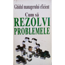 Ghidul managerului eficient - Cum sa rezolvi problemele