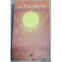 Campul electric