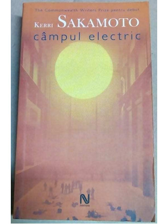 Campul electric