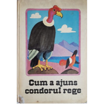 CUM A AJUNS CONDORUL REGE