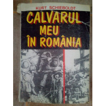 Calvarul meu in Romania