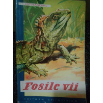 Fosile vii