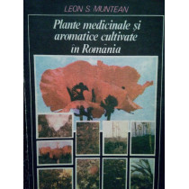 Plante medicinale si aromatice cultivate in Romania