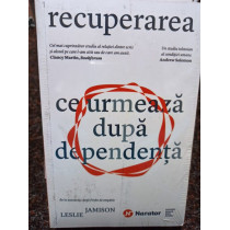 Recuperarea. Ce urmeaza dupa dependenta