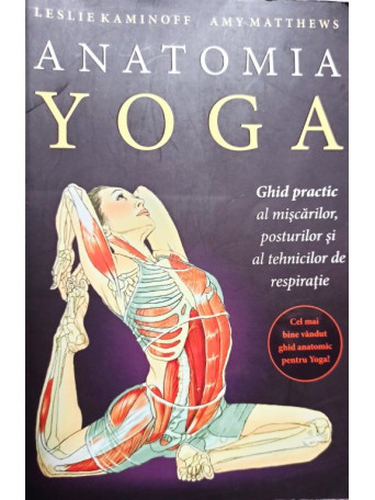 Anatomia yoga