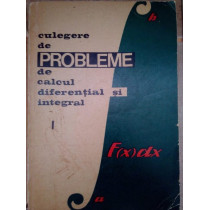 Culegere de probleme de calcul diferential si integral, vol. I