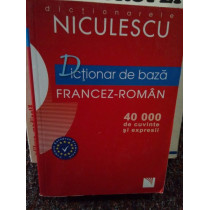 Dictionar de baza francezroman