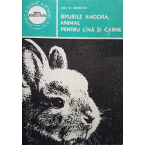 Iepurele Angora, animal pentru lana si carne