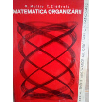 Matematica organizarii