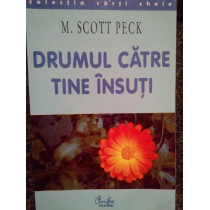 Drumul catre tine insuti