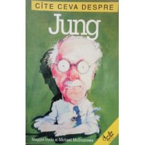 Cite ceva despre Jung