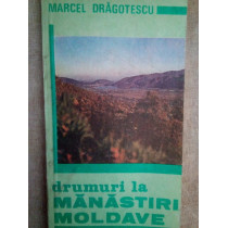 Drumuri la Manastiri Moldave