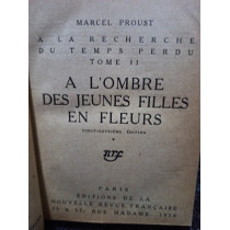 A l'ombre des jeunes filles en fleurs