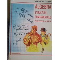 Algebra. Structuri fundamentale pentru liceu