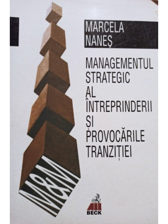 Managementul strategic al intreprinderii si provocarile tranzitiei