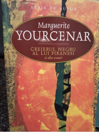 Creierul negru al lui Piranesi si alte eseuri