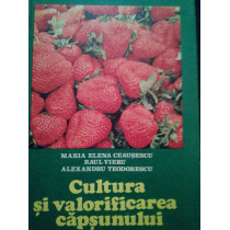 Cultura si valorificarea capsunului