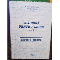 Algebra pentru liceu, vol. 1