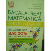 Bacalaureat matematica. Ghid de pregatire