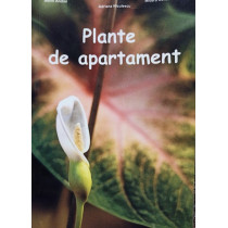 Plante de apartament