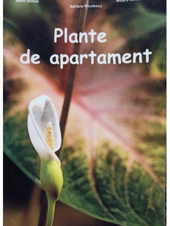 Plante de apartament