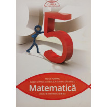 Matematica clasa a Va semestrul al IIlea