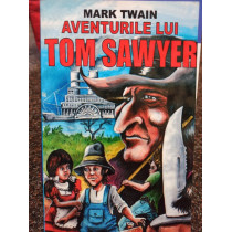 Aventurile lui Tom Sawyer