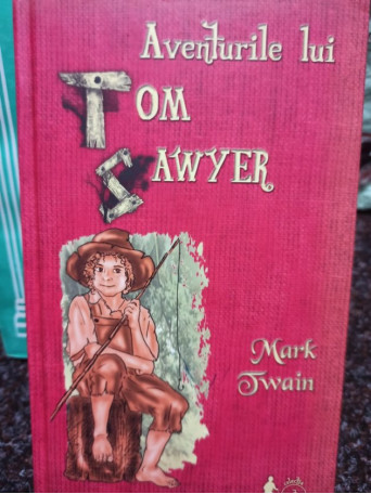 Aventurile lui Tom Sawyer