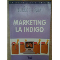 Marketing la indigo