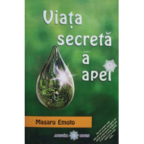 Viata secreta a apei