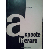 Aspecte literare