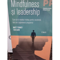 Mindfulness si leadership