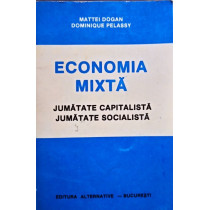 Economia mixta