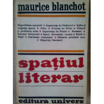 Spatiul literar