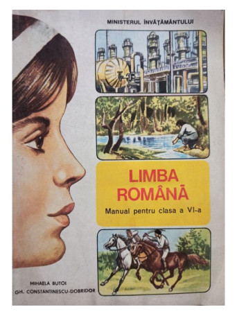 Limba romana - Manual pentru clasa a VIa