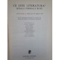 Ce este literatura? Scoala formala rusa