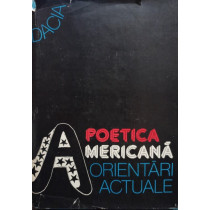 Poetica americana - Orientari actuale