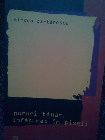 Pururi tanar, infasurat in pixeli