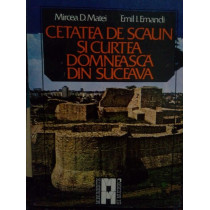 Cetatea de scaun si curtea domneasca din Suceava