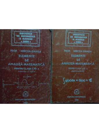 Elemente de analiza matematica 2 vol.