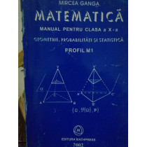 Matematica. Manual pentru clasa a Xa profil M1