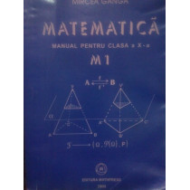 Matematica. Manual pentru clasa a Xa. M1