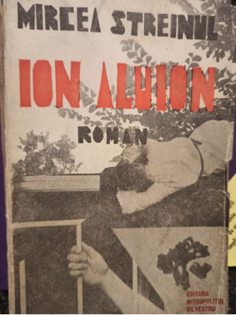 Ion Aluion