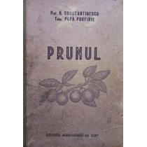 Prunul