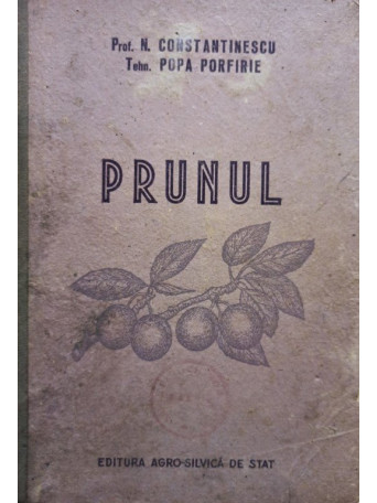 Prunul