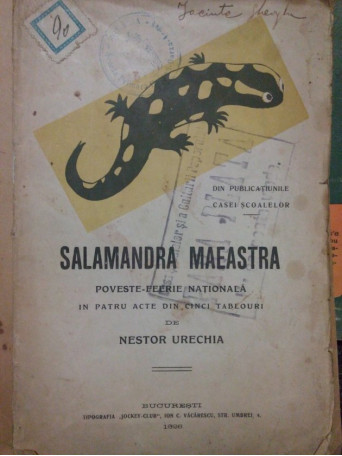 Salamandra maeastra