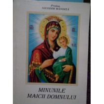 Minunile Maicii Domnului